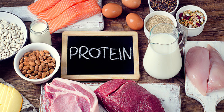 انواع پروتئین
